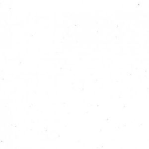 Meet your Posher, Fairy